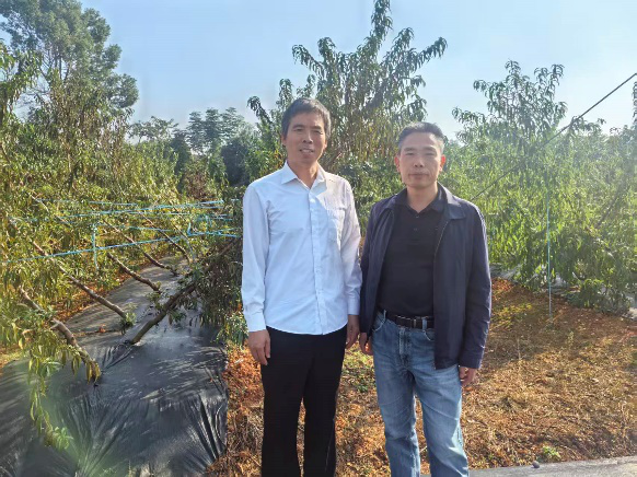 园艺科技学院桃创新团队专家赴湖南省农业科学院开展桃产业调研交流