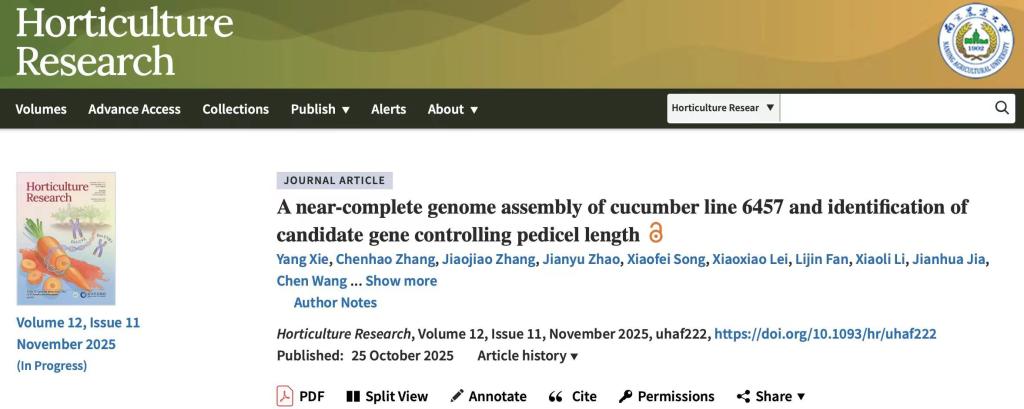 园艺科技学院黄瓜创新团队发布了首个旱黄瓜T2T基因组