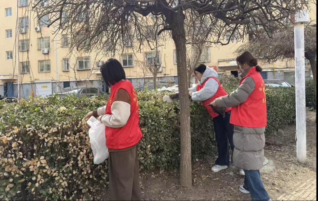 园艺科技学院开展“雷锋精神伴我行，社区焕新我先行”志愿服务活动