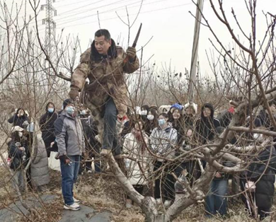 把课堂搬到果园：园艺科技学院开展果树冬剪实践教学活动